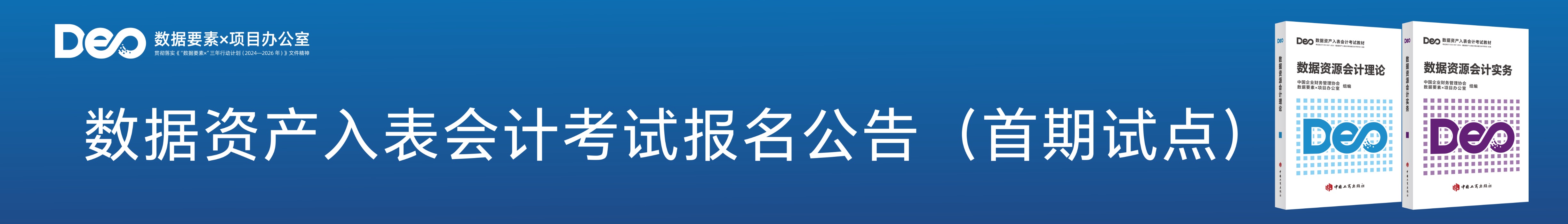 2024年12月数据资产入表会计职业能力水平统一考试公告