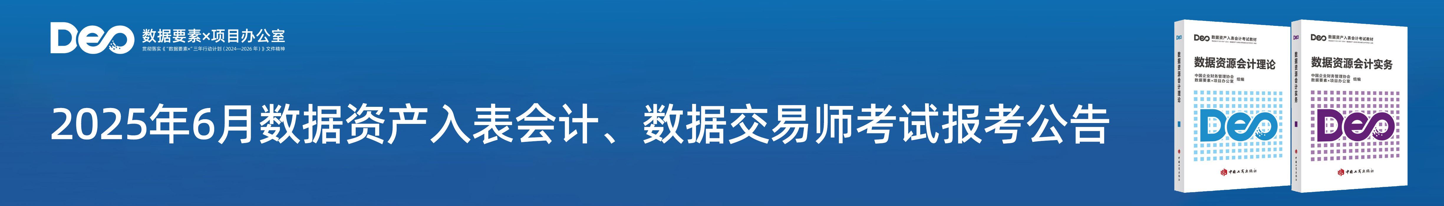 2025年6月数据资产入表会计、数据交易师职业能力水平统一考