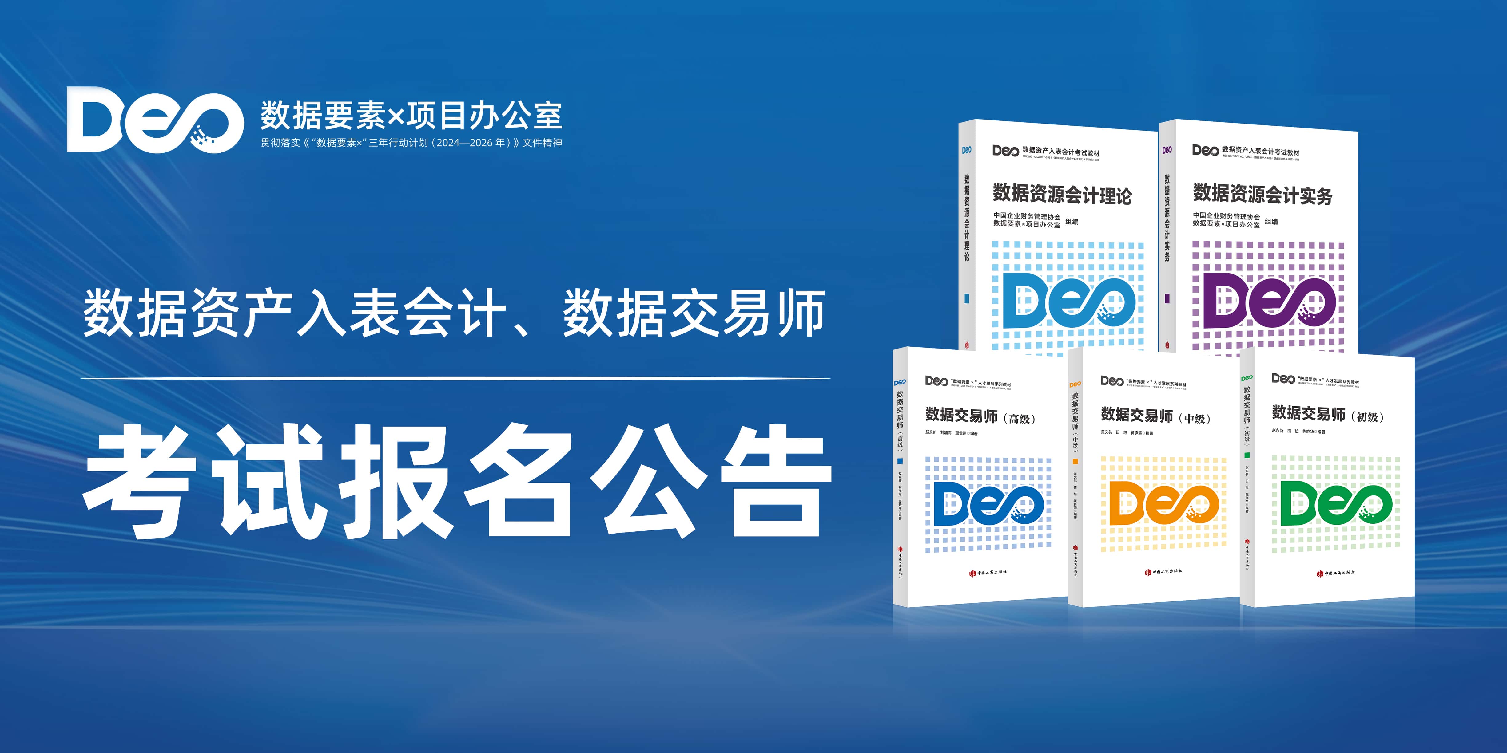 2025年11月数据资产入表会计、数据交易师职业能力水平统一