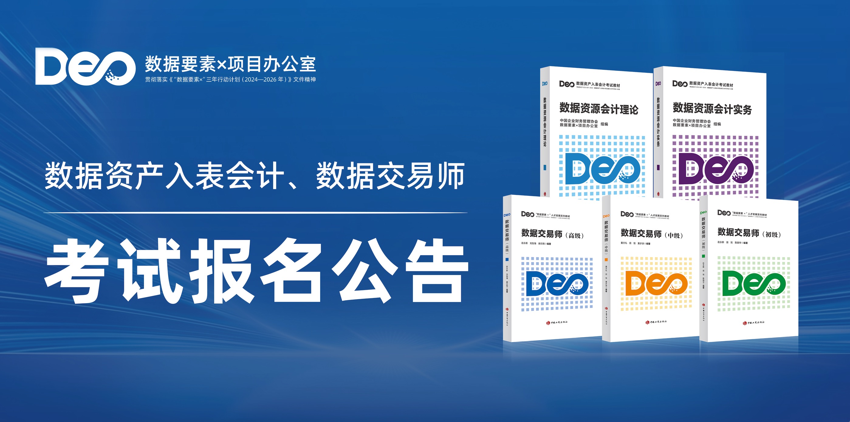 2025年11月数据资产入表会计、数据交易师职业能力水平统一
