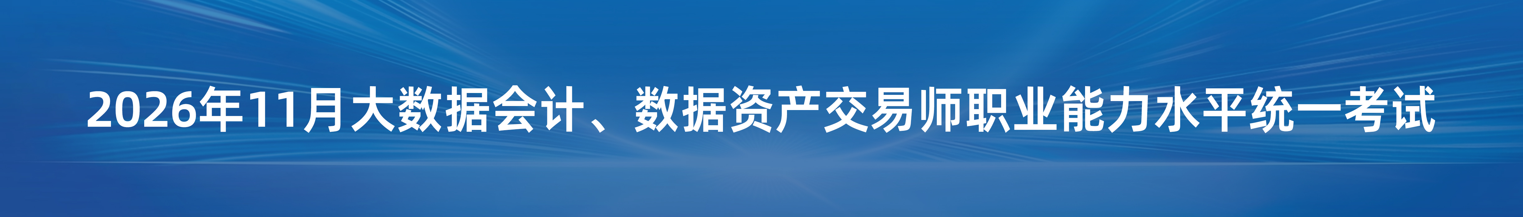 2026年11月大数据会计、数据资产交易师职业能力水平统一考